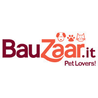 Bauzaar logo